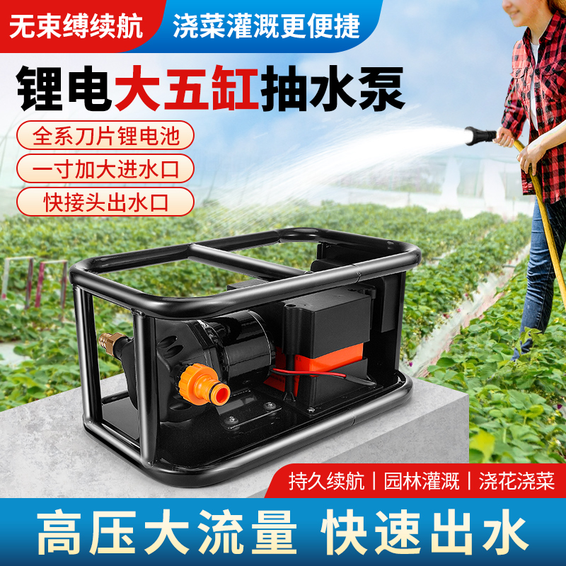 浇菜神器浇水机充电式抽水泵农用灌溉家用农村户外淋菜地自动浇地