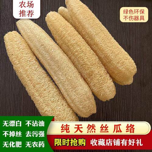 西天然丝油瓜络新款瓤洗