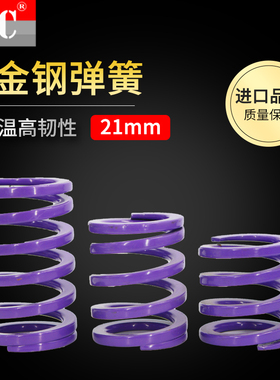 紫色弹簧矩形压簧SWC6 8 10 12 14.5 16 17 20 YSWC21 YT26 31 39