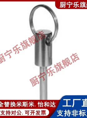 插销ZAA01-D6-L55d5/d8/D10/D12/D16-L15/L30/L20/L50/L35/L25/45