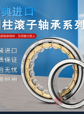瑞典SKF圆柱滚子轴承 NU 1010 1011 1012 1013  1014 1015 ML铜保