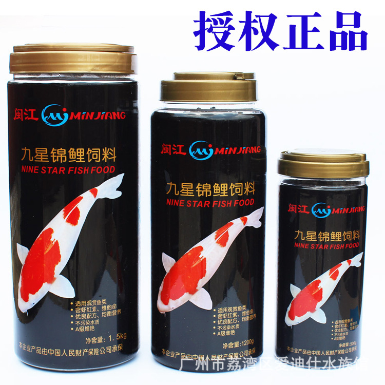 闽江九星锦鲤鱼饲料粮增