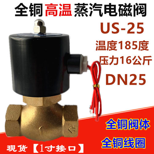 寸全铜高温蒸汽锅炉电磁