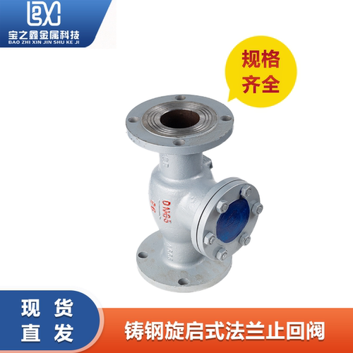 H44H-16C/25C铸钢法兰旋启式止回阀 DN50 65 80 100 125 150 200