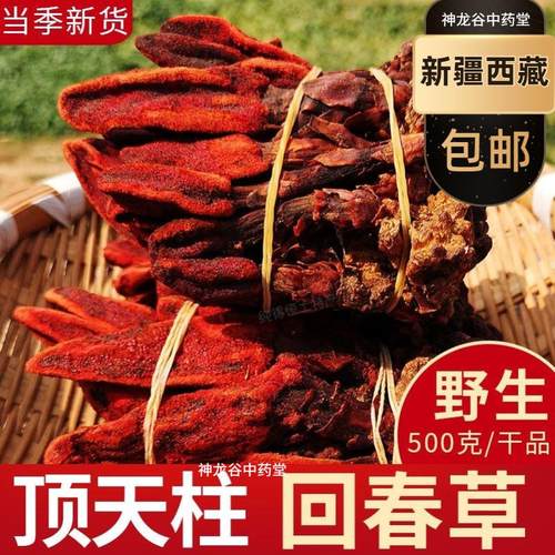 新疆西藏包邮野生回春草