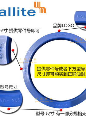Hallite H616拉杆封95*110.5 100*115.5 110*125.5 125*140.5*6.3