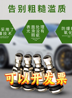 轮胎铜质不锈钢气门嘴 汽车轮胎气嘴 真空嘴 钢气门嘴 金属气嘴