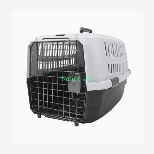 DogAviatnFlhBoxCTreP