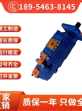 金科580钻机三联泵1115133636泊姆克齿轮泵CBY2025/2025/2016-2FR