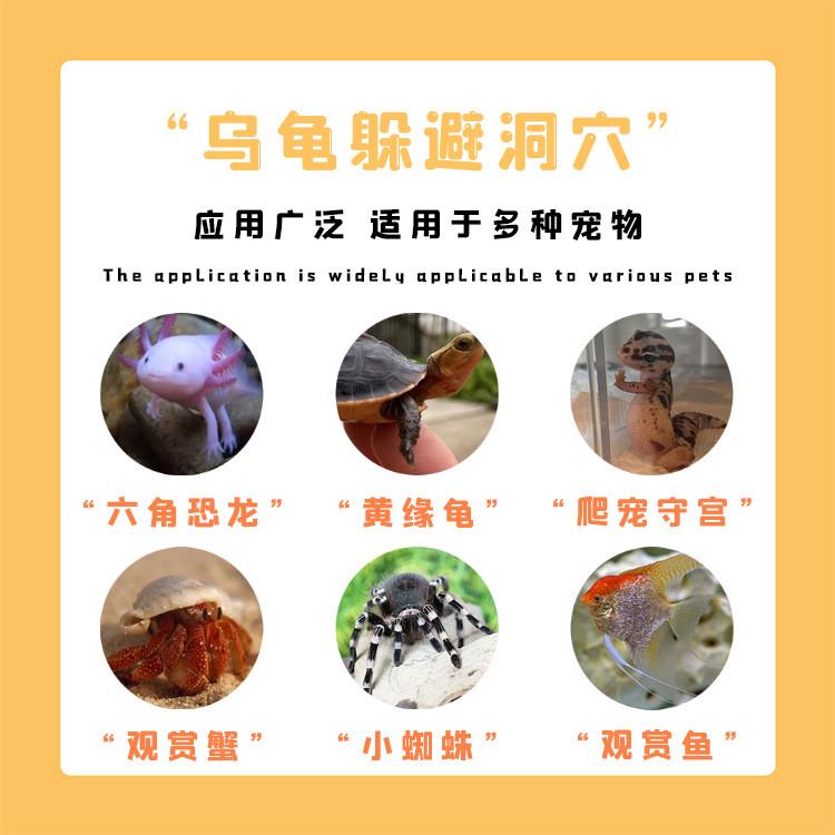 乌龟晒台爬躲避屋瓦片洞