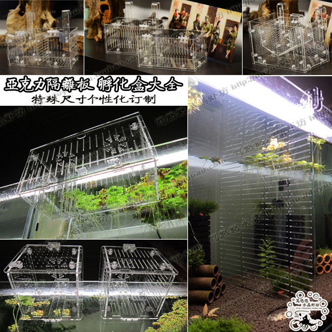 亚克力隔离盒 水晶虾繁育盒 观赏鱼虾缸隔离盒箱繁殖盒 孵化盒,机械设备,矿山专用设备,淘宝优惠券,粉丝福利购,淘宝优惠卷