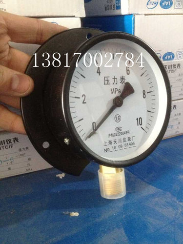 上海天川仪表Y-100T径向带边压力表0-10MPA船用压力表带后边