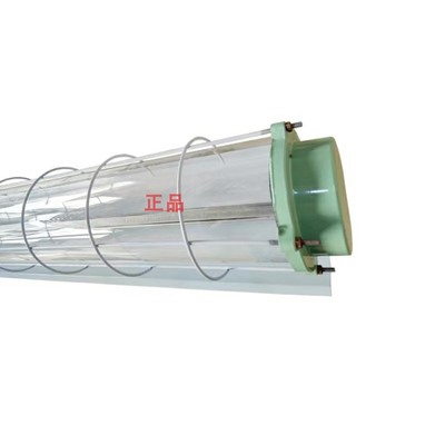 防爆灯荧光隔型双管车间