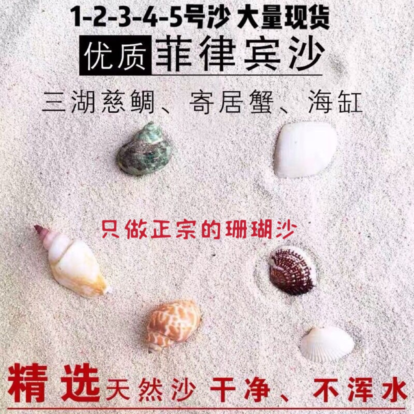 优质菲律宾沙鱼缸珊瑚沙贝壳砂三湖慈鲷小丑鱼海缸海沙寄居蟹底沙