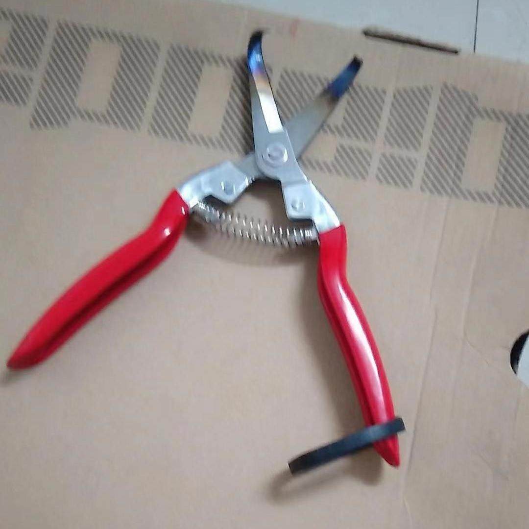 广西火龙果阎芽剪枝条剪芽刺专用剪刀角剪勾剪火龙果用品修芽工具,孕妇装/孕产妇用品/营养,产妇头巾,淘宝优惠券,粉丝福利购,淘宝优惠卷