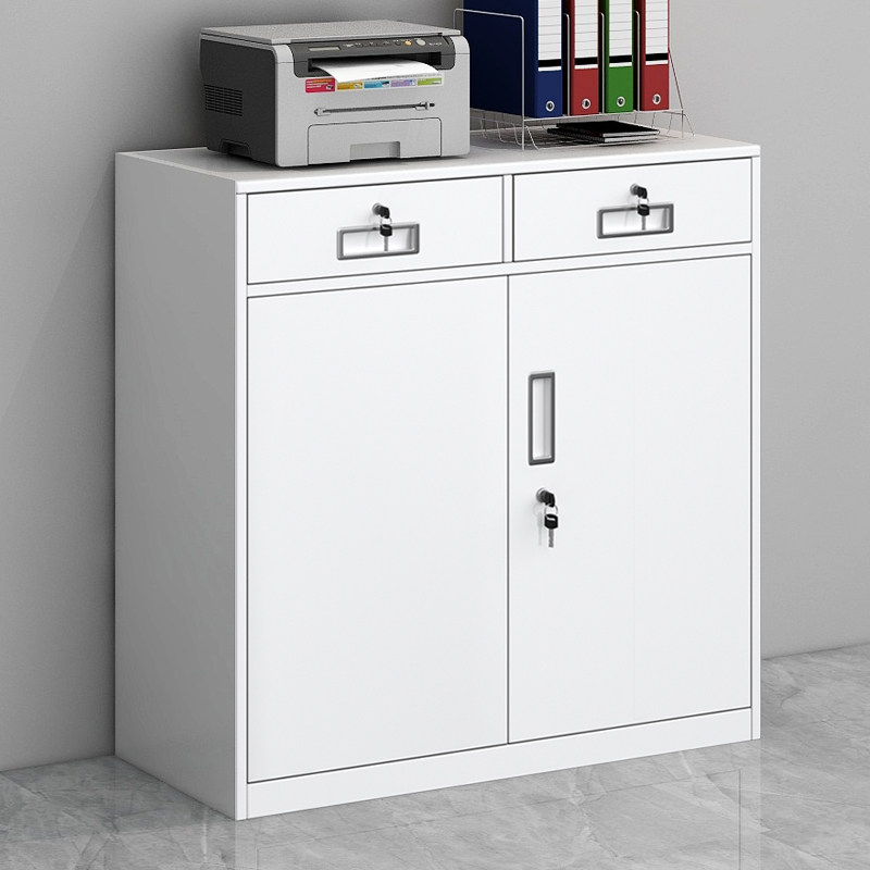 办公室二斗文件柜矮柜铁皮储物柜带锁资料档案柜阳台柜家用工具柜,畜牧/养殖物资,赶猪器,淘宝优惠券,粉丝福利购,淘宝优惠卷