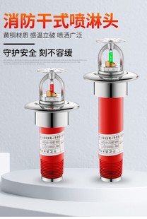 冷库专用干式 干式 消防喷淋头 喷头ZSTGX15 喷淋头K80 68℃干式