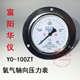 1.6mpa 100ZT 禁油压力表 轴向带边氧气压力表 富阳华仪