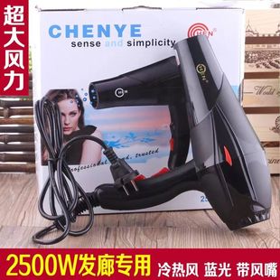 Hair Dryer Hairdryer Blue 电吹风机 Wind Light Cold 2200W Hot