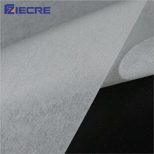 恩纸诗无尘纸工业擦拭莱9寸0609实验无用汽修车贴膜吸油水室纺布