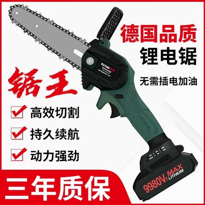 德国进口大功率充电式手