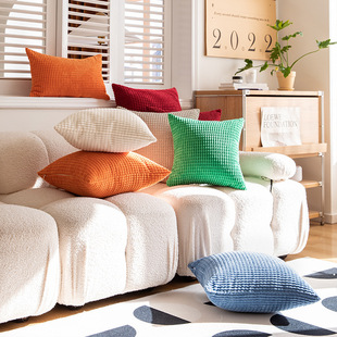 2024新款 沙发客厅网红现代简约高级感抱枕套不含芯北欧风大尺寸