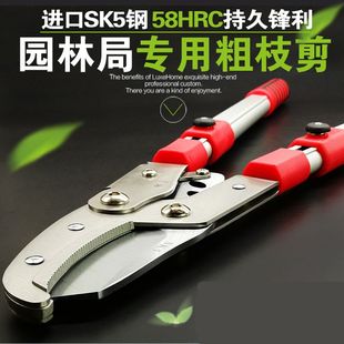 修枝剪修剪树枝果树剪刀粗枝剪园林伸缩强力园艺大剪刀工具大力剪