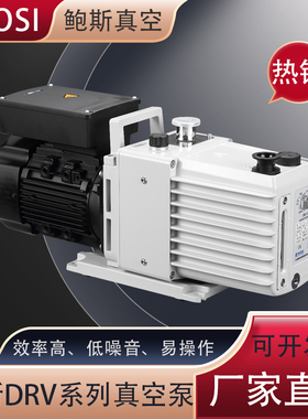 浙江鲍斯旋片式DRV10冷冻干燥真空泵DRV16实验室抽气机械泵 BSV30
