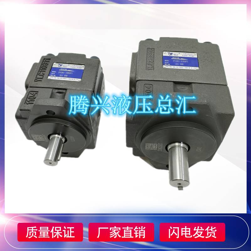 YLC仙居永灵叶片泵PV2R1-8/12/14/17/19/23/25/28/31RAF1液压油泵