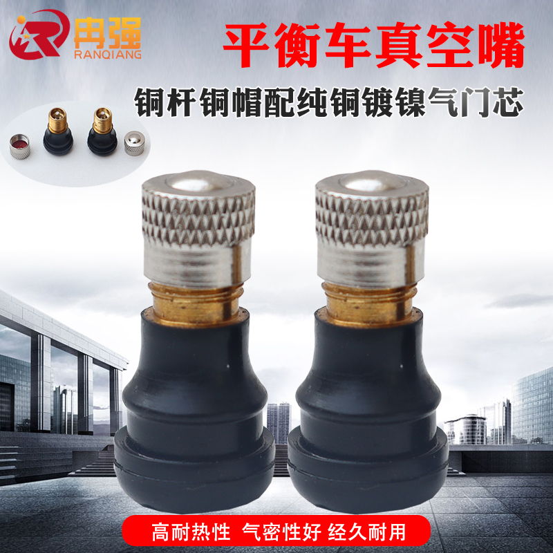 9号平衡车气门嘴 真空轮胎电动九mini号充气嘴打气芯针