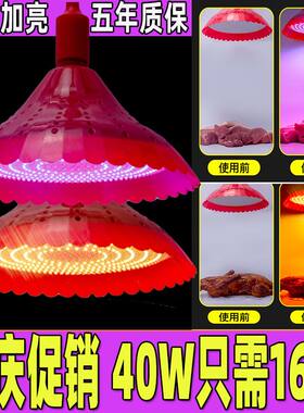 led生鲜猪肉灯红色熟食卤菜卤肉店专用灯冷鲜肉海鲜蔬菜水果吊灯