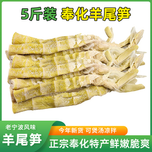 正宗宁波特产奉化羊尾笋5斤装 农家自制新鲜盐烤笋野山扁尖烤笋干