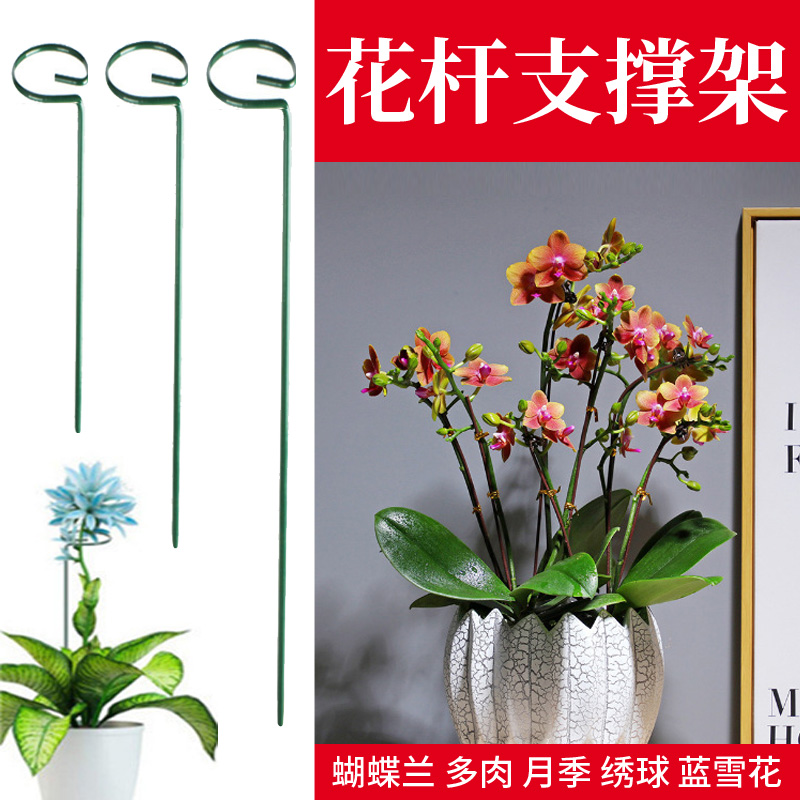 花支架防倒伏植物固定支架花支架圈托架蝴蝶兰支架花架支撑杆园艺