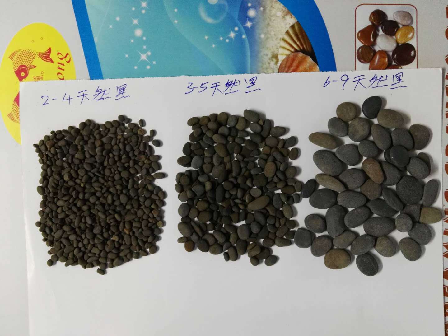 鱼缸造景铁胆沙黑工砂乌