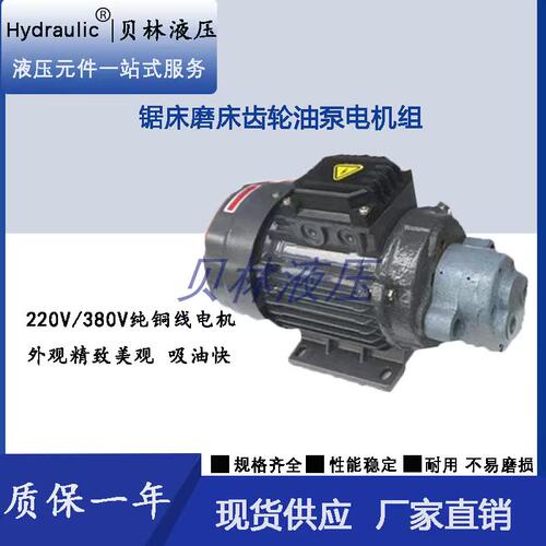 380V电压220V CB-B2.5JZ-B6JZ-B4JZ-B10JZ直插式齿轮油泵电机组1