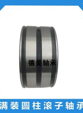 满装圆柱滚子轴承SL045010 045011 045012 045013 045014 045015