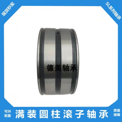 满装圆柱滚子轴承SL045010 045011 045012 045013 045014 045015