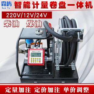 森屿220V计量抽油泵12V24V大流量柴油泵定量加注自吸泵小型加油机