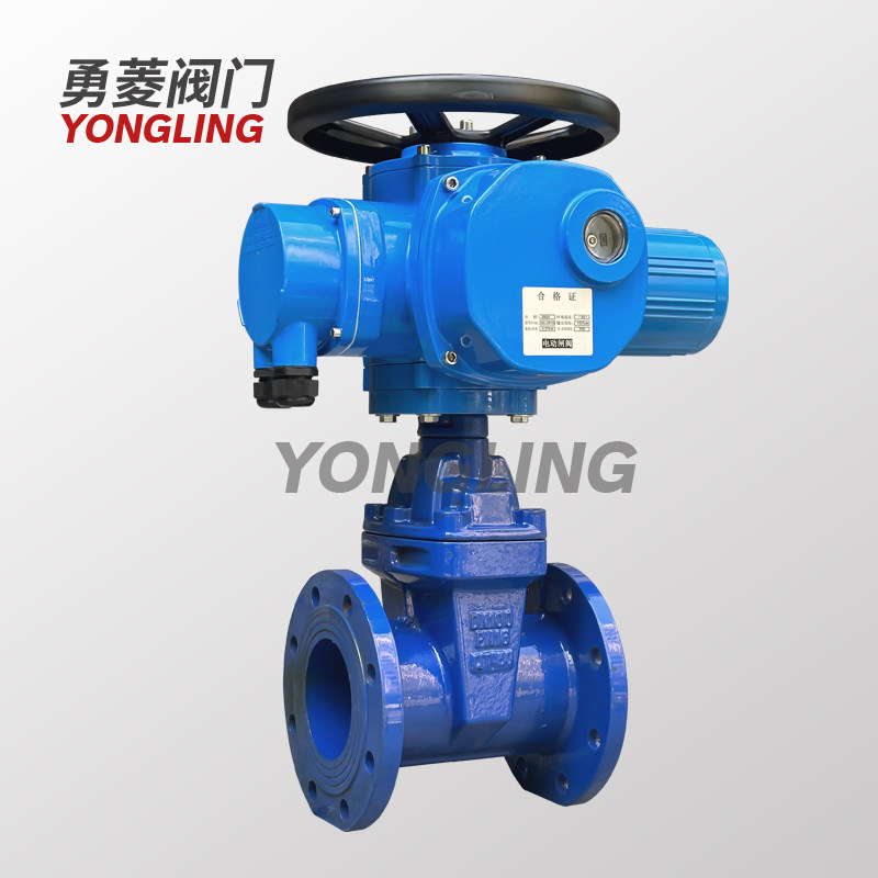电动法兰暗杆明闸阀市政