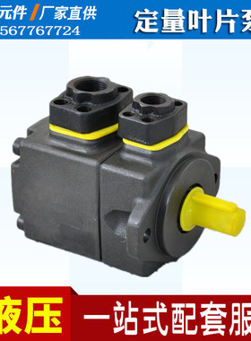 液压叶片泵定量油泵VQ15-6  10 12 14 17 19 23 25 28 31FLRAA-0