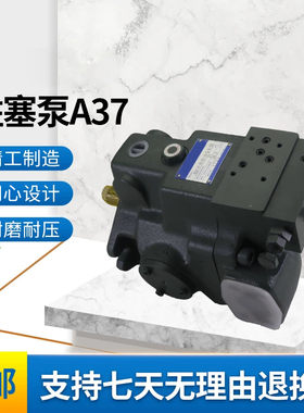 变量高压油泵A37-F-R-01/04-B/C/H-K-32大流量挤压机液压柱塞泵
