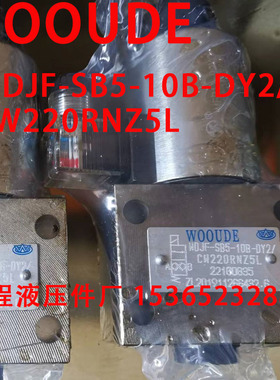 WOOUDE 电磁阀 WDJF-SB5-10B-DY2/CW220RNZ5L WOJF-SB5-10B