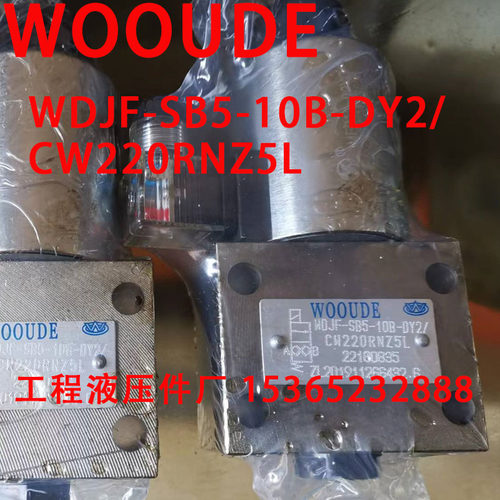 WOOUDE 电磁阀 WDJF-SB5-10B-DY2/CW220RNZ5L WOJF-SB5-10B
