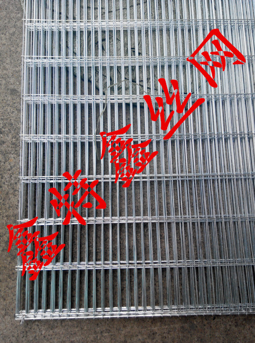 网片电焊镀锌铁丝笼子鸟