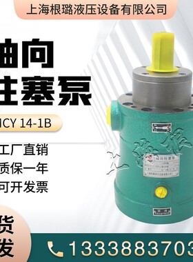 根璐液压轴向柱塞泵2.5MCY 5MCY 10MCY 25MCY 63MCY 160MCY14-1B