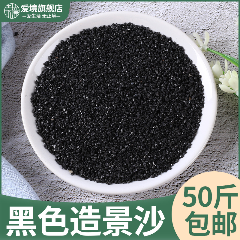 斤装黑金沙铺面多肉植物