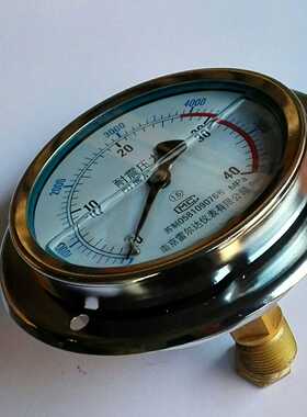 轴向带边内充进口硅油防冻耐震压力表tyn-100zt 0-40mpa 5800psi