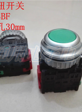 平头按钮开关 TN3BFG-1A  TN3BFR-1B 自复位 30mm 红色 绿色