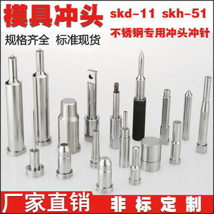 SKD-11模具冲头SKH-51五金模A冲抽芽冲引导冲三级冲针T冲非标定做