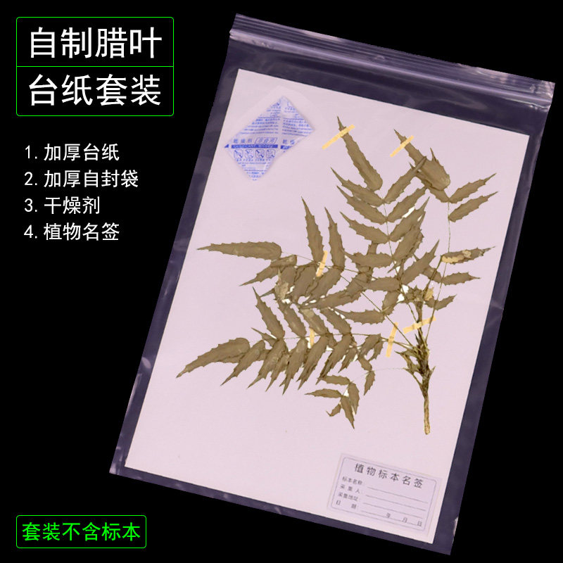 专业腊叶标本台纸8K16K植物标本夹蜡叶吸水纸植物标台中药材纸标